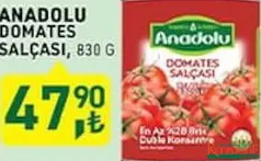 TARIM KREDİ ANADOLU DOMATES SALÇASI 830 G fiyat ve kampanya bilgisi